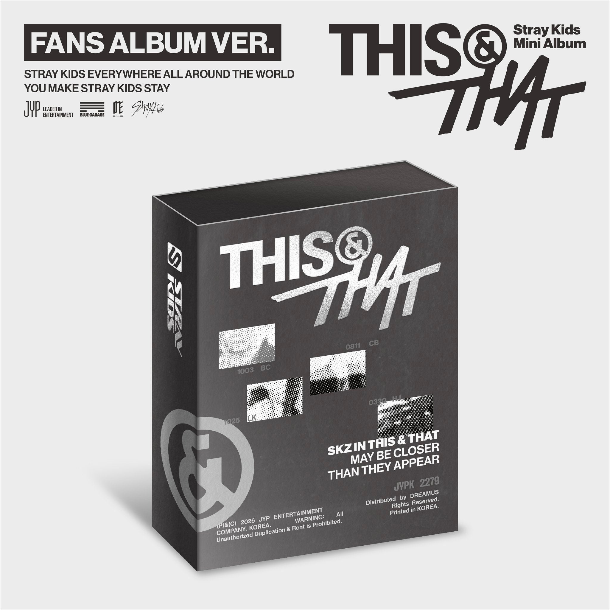 straykids THIS&THAT 新品未開封　FANS ALBUM 20枚 Stray Kids - THIS & THAT (FANS ALBUM VER.)