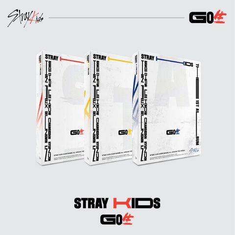 Stray Kids GO LIVE