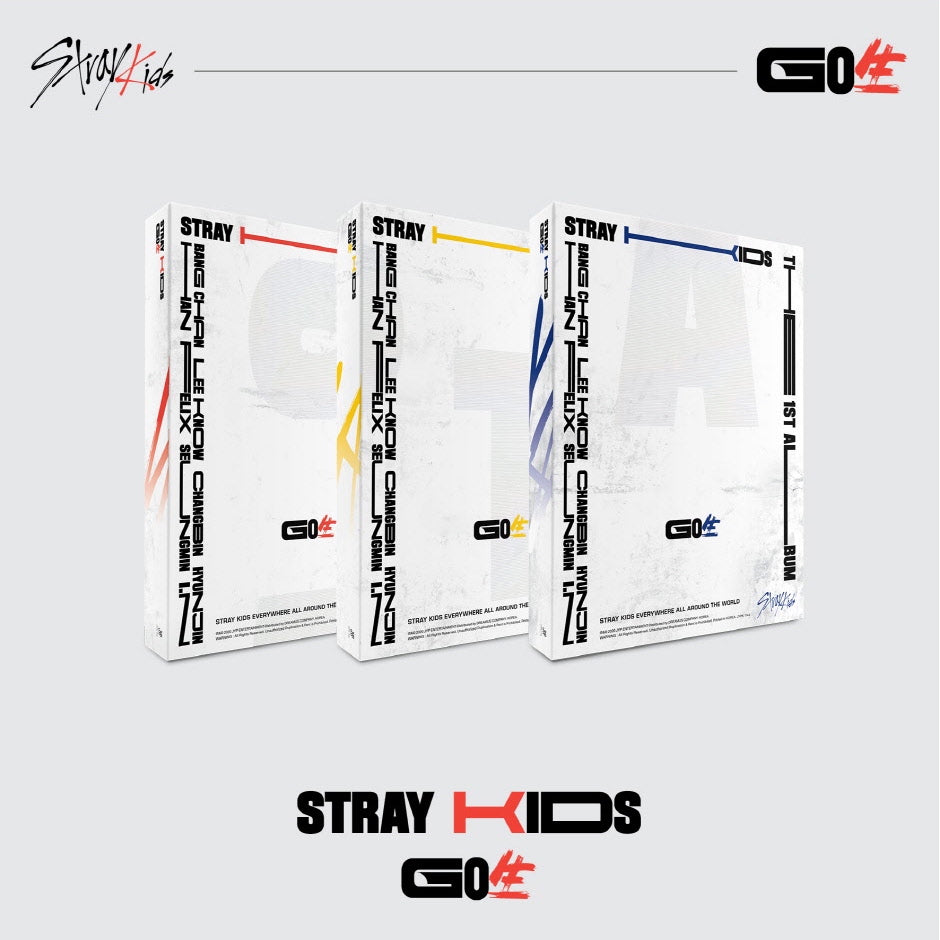 Stray Kids GO LIVE