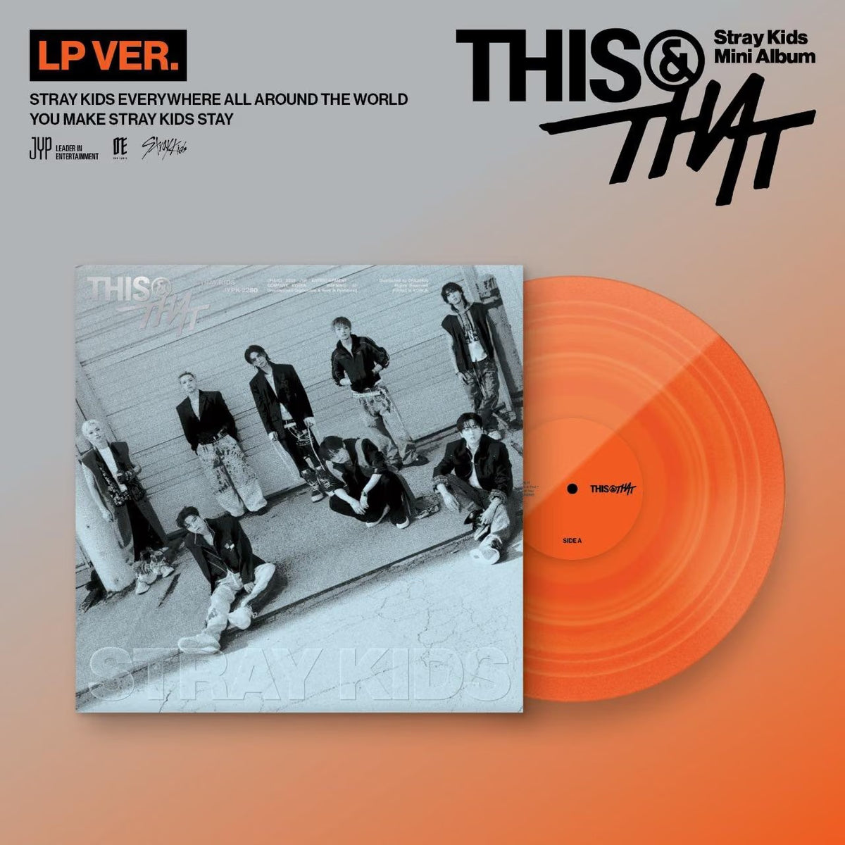 Stray Kids - THIS & THAT (LP VER.)