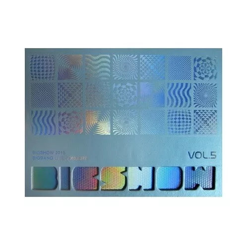 BIGBANG 2010 LIVE CONCERT CD : BIG SHOW