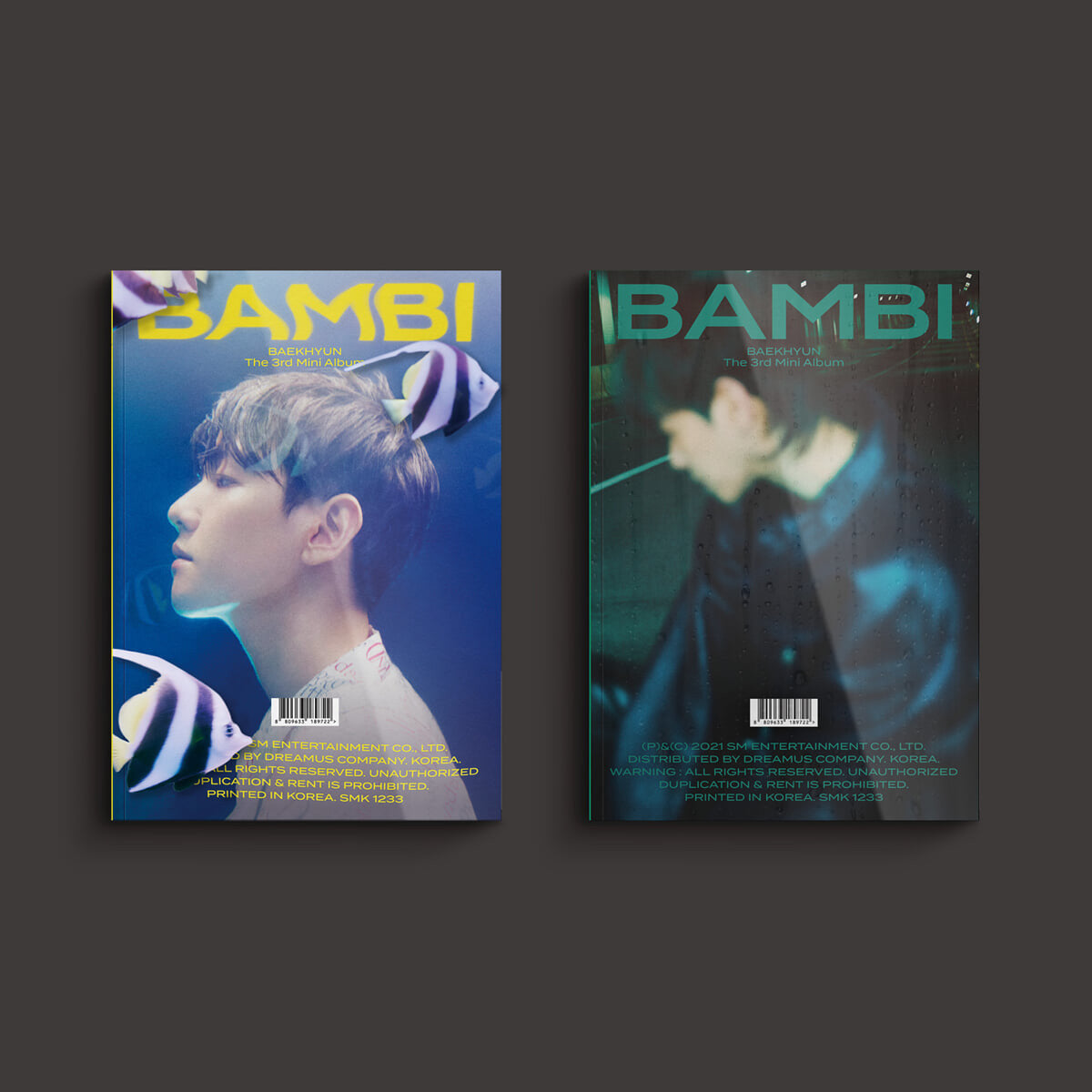 BAEKHYUN Bambi - Copenhagen Kpop