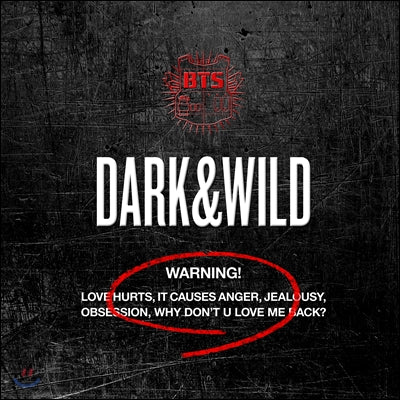BTS Dark & Wild - Copenhagen Kpop